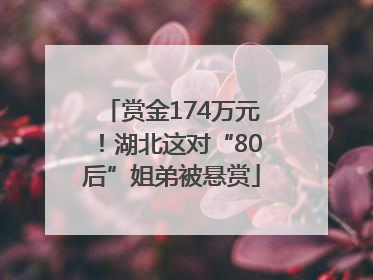 赏金174万元！湖北这对“80后”姐弟被悬赏