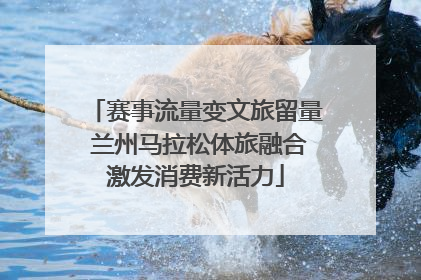 赛事流量变文旅留量 兰州马拉松体旅融合激发消费新活力