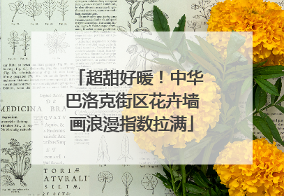 超甜好暖！中华巴洛克街区花卉墙画浪漫指数拉满