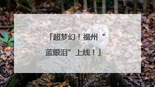 超梦幻！福州“蓝眼泪”上线！
