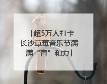 超5万人打卡 长沙草莓音乐节满满“青”和力