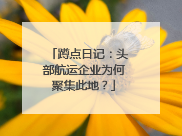 蹲点日记：头部航运企业为何聚集此地？