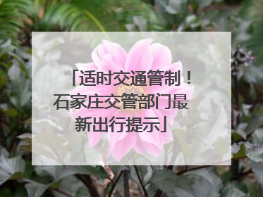 适时交通管制！石家庄交管部门最新出行提示