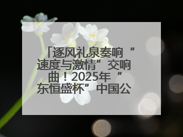 逐风礼泉奏响“速度与激情”交响曲！2025年“东恒盛杯”中国公路自行车联赛第五站（陕西·礼泉站）正式开赛