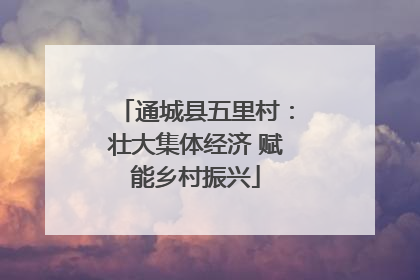 通城县五里村：壮大集体经济 赋能乡村振兴