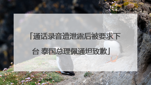 通话录音遭泄露后被要求下台 泰国总理佩通坦致歉