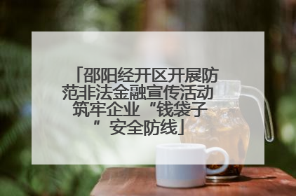 邵阳经开区开展防范非法金融宣传活动 筑牢企业“钱袋子”安全防线