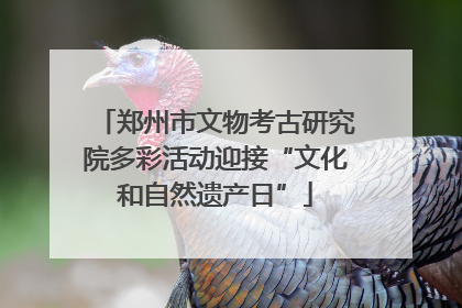 郑州市文物考古研究院多彩活动迎接“文化和自然遗产日”