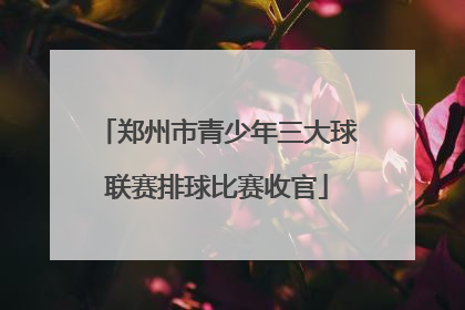 郑州市青少年三大球联赛排球比赛收官