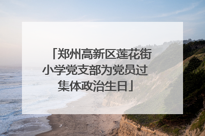 郑州高新区莲花街小学党支部为党员过集体政治生日