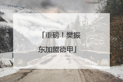 重磅！樊振东加盟德甲