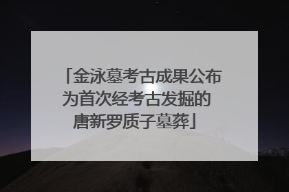 金泳墓考古成果公布 为首次经考古发掘的唐新罗质子墓葬