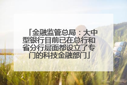 金融监管总局：大中型银行目前已在总行和省分行层面都设立了专门的科技金融部门