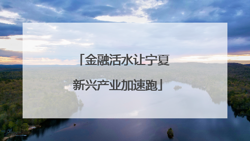 金融活水让宁夏新兴产业加速跑