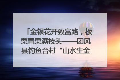 金银花开致富路，板栗青果满枝头——团风县钓鱼台村“山水生金”谱写共富新篇章