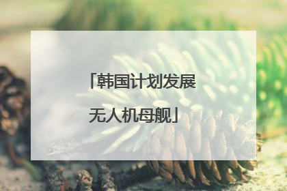 韩国计划发展无人机母舰