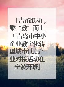 青甬联动，乘“数”而上！青岛市中小企业数字化转型城市试点产业对接活动在宁波开班