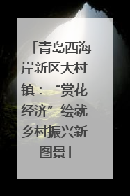青岛西海岸新区大村镇：“赏花经济”绘就乡村振兴新图景