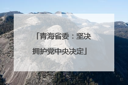 青海省委：坚决拥护党中央决定