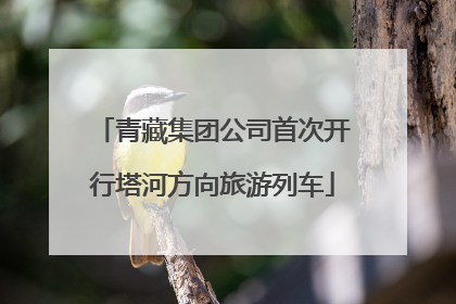 青藏集团公司首次开行塔河方向旅游列车
