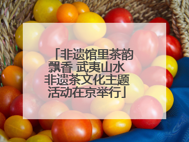 非遗馆里茶韵飘香 武夷山水非遗茶文化主题活动在京举行