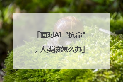 面对AI“抗命”，人类该怎么办