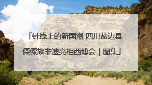 针线上的新国潮 四川盐边县傈僳族非遗亮相西博会｜图集