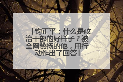钧正平：什么是政治干部的好样子？被全网赞扬的他，用行动作出了回答
