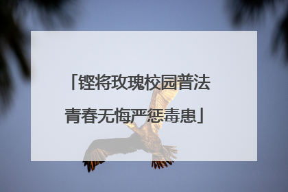 铿将玫瑰校园普法 青春无悔严惩毒患
