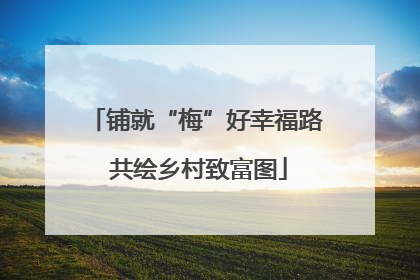 铺就“梅”好幸福路 共绘乡村致富图
