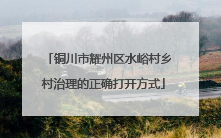 铜川市耀州区水峪村乡村治理的正确打开方式