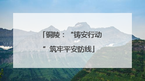 铜陵：“铸安行动”筑牢平安防线