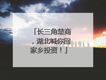 长三角楚商，湖北喊你回家乡投资！