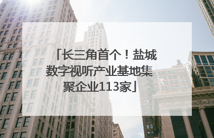 长三角首个！盐城数字视听产业基地集聚企业113家