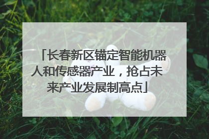 长春新区锚定智能机器人和传感器产业，抢占未来产业发展制高点
