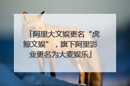阿里大文娱更名“虎鲸文娱”，旗下阿里影业更名为大麦娱乐
