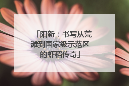 阳新：书写从荒滩到国家级示范区的虾稻传奇