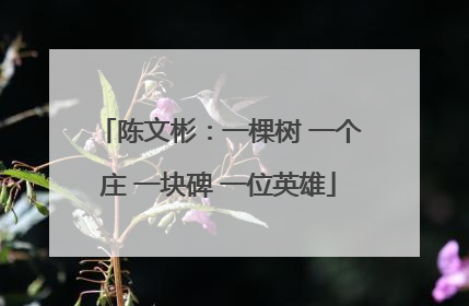 陈文彬：一棵树 一个庄 一块碑 一位英雄