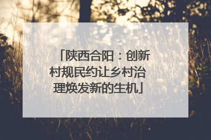 陕西合阳：创新村规民约让乡村治理焕发新的生机