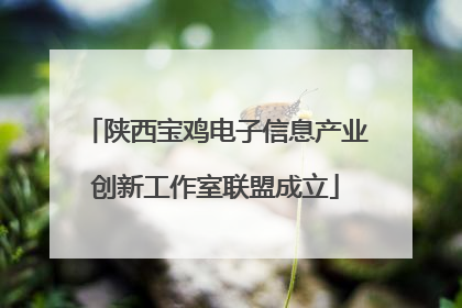 陕西宝鸡电子信息产业创新工作室联盟成立