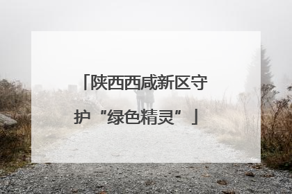 陕西西咸新区守护“绿色精灵”
