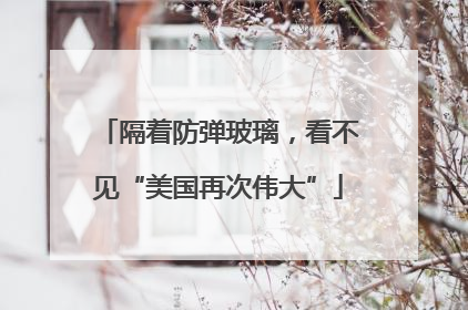 隔着防弹玻璃，看不见“美国再次伟大”