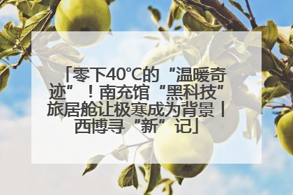 零下40℃的“温暖奇迹”！南充馆“黑科技”旅居舱让极寒成为背景丨西博寻“新”记