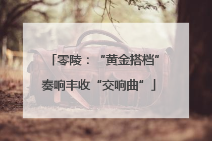 零陵：“黄金搭档”奏响丰收“交响曲”