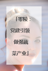 零陵：党建引领 做强蔬菜产业