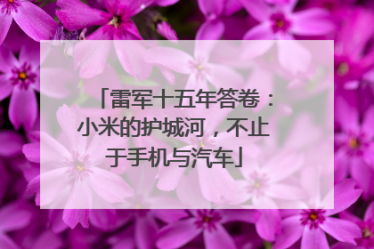 雷军十五年答卷：小米的护城河，不止于手机与汽车