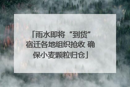 雨水即将“到货” 宿迁各地组织抢收 确保小麦颗粒归仓