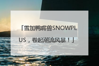 雪加鸭嘴兽SNOWPLUS，卷起潮流风暴！