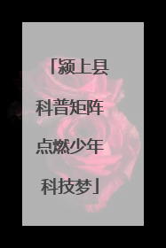 颍上县科普矩阵点燃少年科技梦