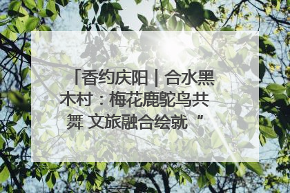 香约庆阳｜合水黑木村：梅花鹿鸵鸟共舞 文旅融合绘就“诗与远方”